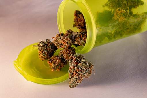 8 Best Marijuana Dispensaries in Colorado!